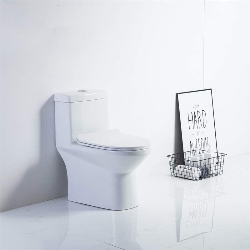 YS24210	One piece ceramic toilet, siphonic;