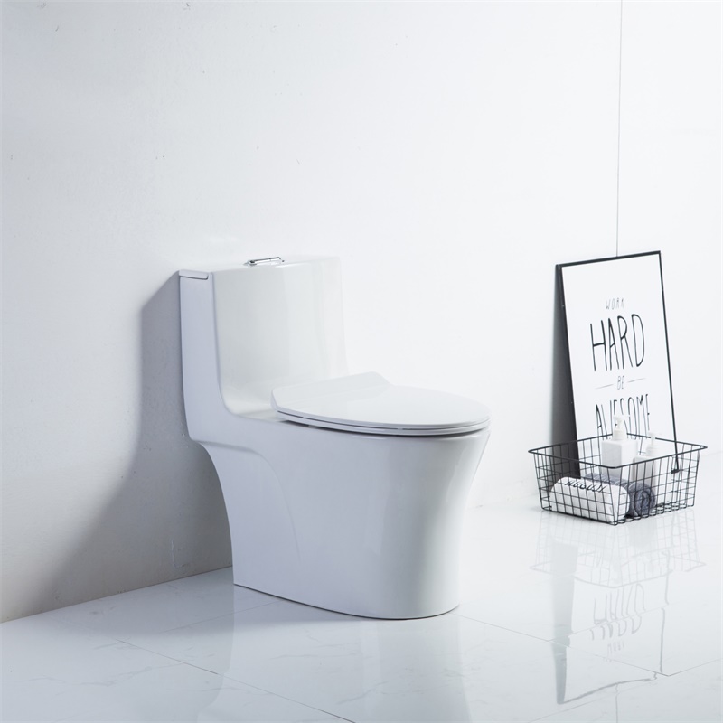 YS24212	One piece ceramic toilet, siphonic;