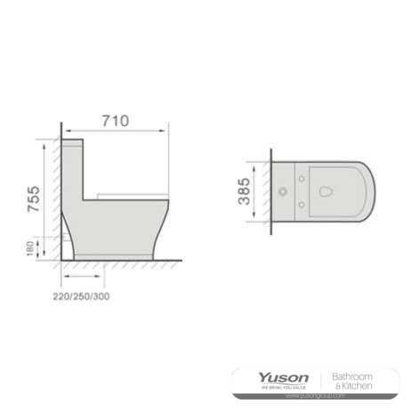 YS24214	One piece ceramic toilet, washdown;